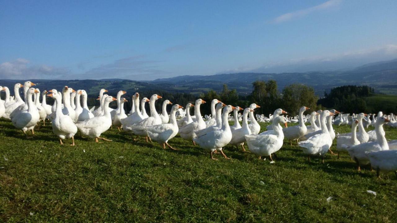 Вілла Lindlhof Fam. Taferner Санкт-Андре Екстер'єр фото